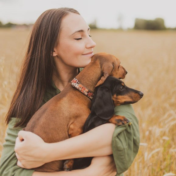 Short-Haired Breeds