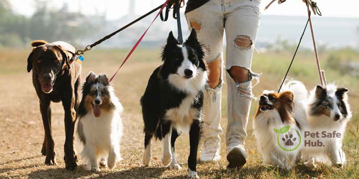 Top 10 Dog Breeds for Families